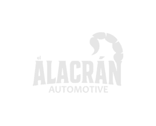 Shock & Strut Replacement